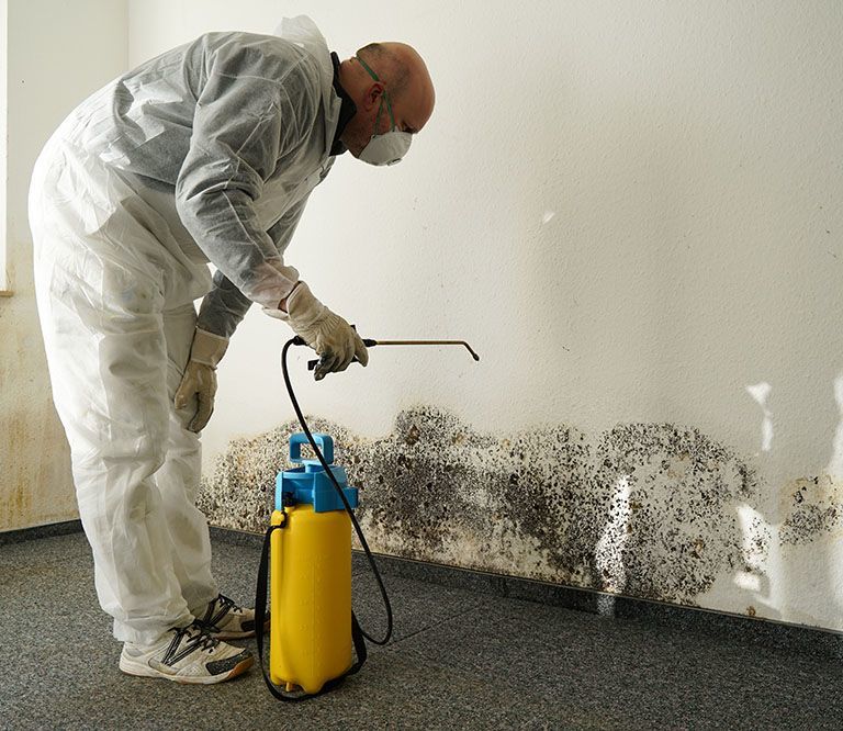 Maintain proper humidity levels within your home to prevent mould growth .
